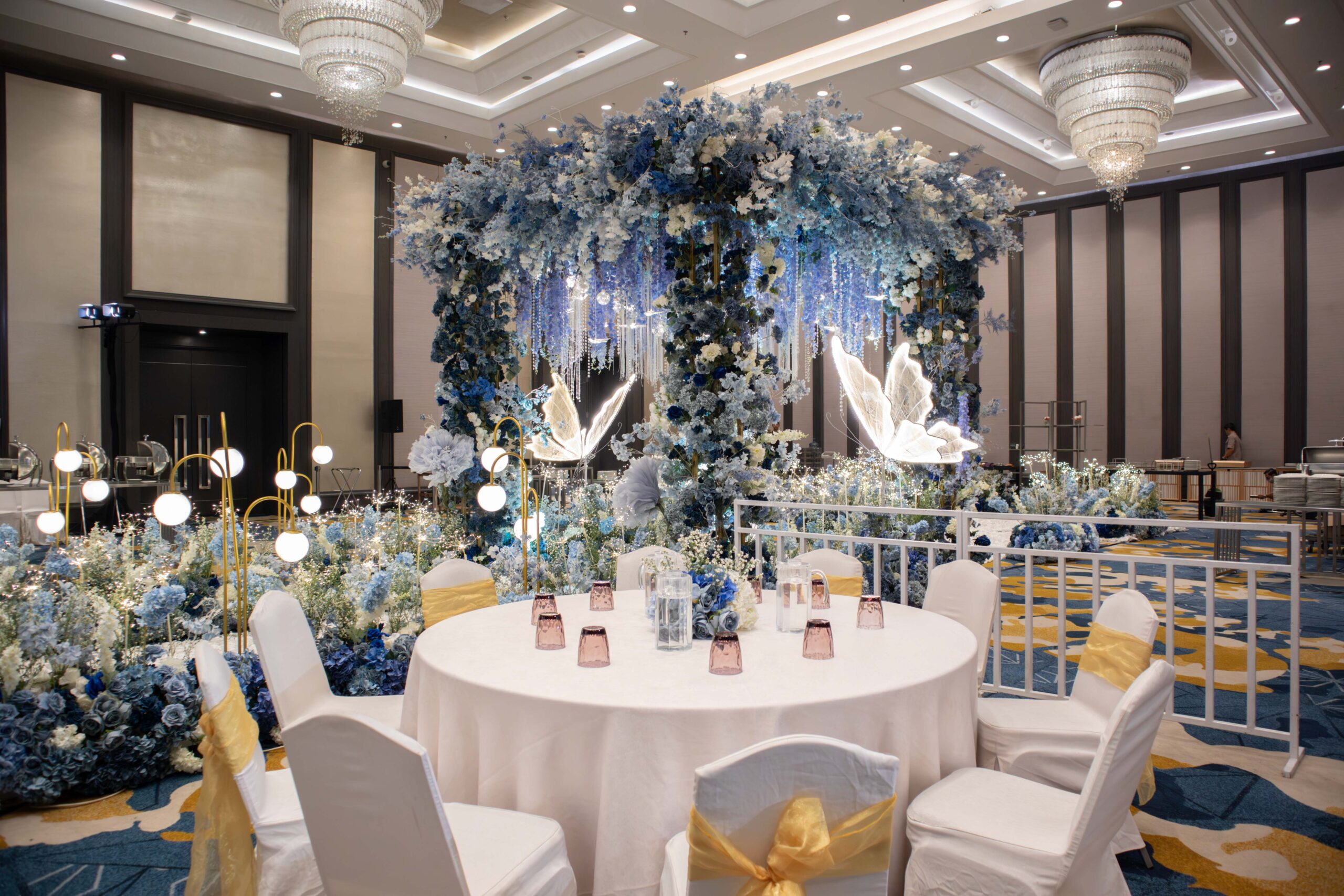 IMG_7238-Enhanced-NR